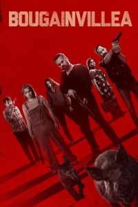 Bougainvillea (2024) Hindi WEB-DL – 1080p, 720p, 480p | Free Download