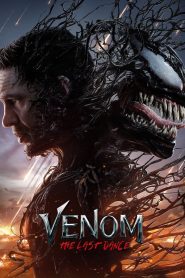 Venom: The Last Dance (2024) Hindi-English WEB-DL – 1080p, 720p | Free Download