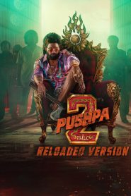Pushpa 2 – The Rule (Reloaded Version) 2025 Hindi WEB-DL – 2160p,1080p, 720p,480p | Free Download