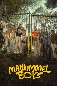 Manjummel Boys (2024) Hindi WEB-DL – 720p | Free Download