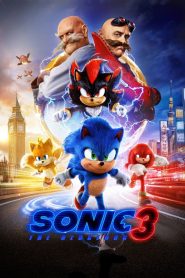 Sonic the Hedgehog 3 (2024) Hindi-English WEB-DL – 1080p, 720p,480p, | Free Download
