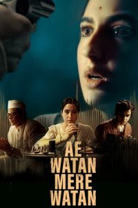 Ae Watan Mere Watan (2024) Hindi WEB-DL – 720p | Free Download