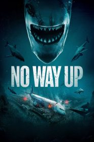 No Way Up (2024) Dual Audio [Hindi+English] WEB-DL – 720p | Free Download