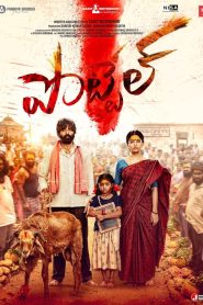 Pottel (2024) Hindi WEB-DL – 1080p, 720p,480p | Free Download