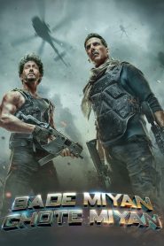Bade Miyan Chote Miyan (2024) Hindi WEB-DL – 720p | Free Download