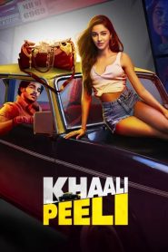 Khaali Peeli (2020) Hindi WEB-DL – 720p | Free Download
