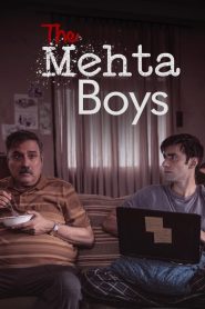 The Mehta Boys 2025 Hindi WEB-DL – 1080p, 720p,480p | Free Download