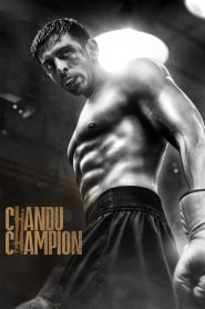 Chandu Champion (2024) Hindi WEB-DL – 720p | Free Download