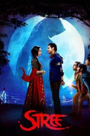 Stree (2018) Hindi WEB-DL – 720p | Free Download