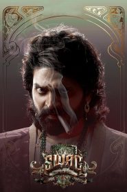 Swag  (2024) Hindi WEB-DL – 1080p, 720p, 480p | Free Download