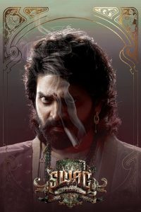 Swag  (2024) Hindi WEB-DL – 1080p, 720p, 480p | Free Download