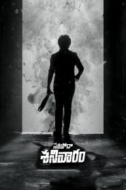 Saripodhaa Sanivaaram (2024) Hindi WEB-DL – 720p | Free Download
