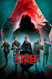 Stree 2 (2024) Hindi WEB-DL – 720p | Free Download