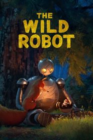 The Wild Robot (2024) [Hindi+English] WEB-DL – 720p | Free Download