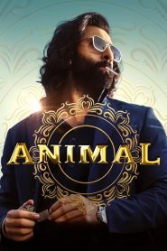 Animal (2024) Hindi WEB-DL – 1080p, 720p, 480p | Free Download