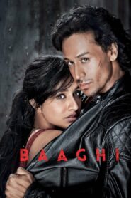 Baaghi (2016) Hindi WEB-DL – 1080p, 720p, 480p | Free Download