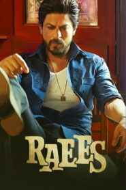 Raees (2017) Hindi WEB-DL – 1080p, 720p, 480p | Free Download