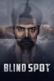 Blind Spot (2025) [Hindi+Telugu] WEB-DL – 1080p, 720p, 480p | Free Download