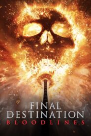 Final Destination Bloodlines  (2025) [Hindi+English] WEB-DL – 1080p, 720p, 480p | Free Download