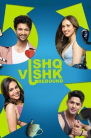 Ishq Vishk Rebound (2024) Hindi WEB-DL – 1080p, 720p, 480p | Free Download