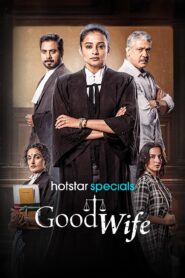  Good Wife (Season 1) Hindi WEB-DL – 1080p, 720p, 480p | Free Download