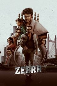 Zebra (2024) [Hindi+Telugu] WEB-DL – 1080p, 720p, 480p | Free Download