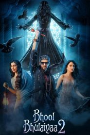 Bhool Bhulaiyaa 2 (2022) Hindi WEB-DL – 1080p, 720p, 480p | Free Download