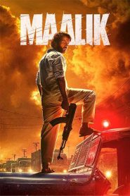 Maalik (2025) Hindi HDRiP – 1080p, 720p, 480p | Free Download