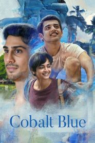 Cobalt Blue (2022) Hindi WEB-DL – 1080p, 720p, 480p | Free Download
