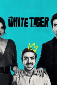 The White Tiger (2021) Hindi WEB-DL – 1080p, 720p, 480p | Free Download