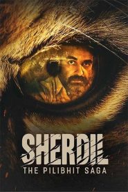 Sherdil: The Pilibhit Saga (2022) Hindi WEB-DL – 1080p, 720p, 480p | Free Download