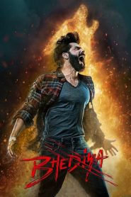 Bhediya (2022) Hindi WEB-DL – 1080p, 720p, 480p | Free Download