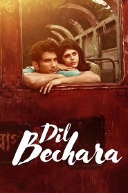 Dil Bechara (2020) Hindi WEB-DL – 1080p, 720p, 480p | Free Download