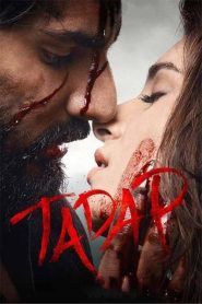 Tadap (2021) Hindi WEB-DL – 1080p, 720p, 480p | Free Download