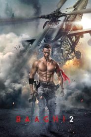 Baaghi 2 (2018) Hindi WEB-DL – 1080p, 720p, 480p | Free Download