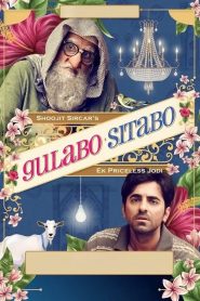 Gulabo Sitabo (2020) Hindi WEB-DL – 1080p, 720p, 480p | Free Download