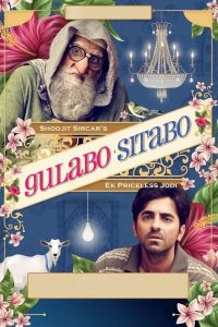Gulabo Sitabo (2020) Hindi WEB-DL – 1080p, 720p, 480p | Free Download