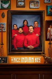 A Nice Indian Boy (2025) [Hindi+English] WEB-DL – 1080p, 720p, 480p | Free Download